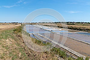 Marshes salt evaporation on island of Noirmoutier in Vendee France
