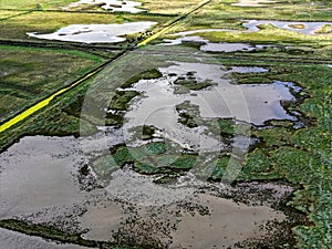 Marshes at Salthouse in Norfolk