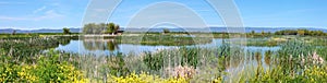 Marshes in South Oregon.