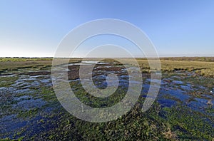 The Marshes or Wetlands to the North of 40 Acre Lake, looking towards Plant Lake.