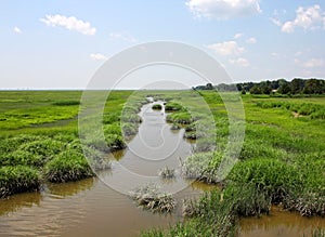 Marshes at Wildlife Refuge