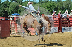 Marshfield, Massachusetts - June 24, 2012: A rodeo cowboy riding a bucking bronco