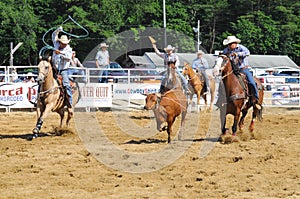 Marshfield, Massachusetts - June 24, 2012: Two Rodeo Cowboys Trying To Rope A Running Steer