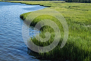 Marshgrass Along a Waterway Near the Ocean photo