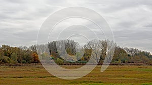 Marshland with colorful autumn trees in in Bourgoyen nature reserve.