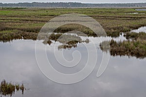 Marshland on Deal Island, Somerset County, Maryland