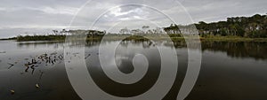 The marshland and lush tropical woods, Big Talbot Island State Park, Florida