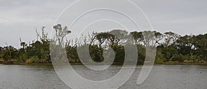 The marshland and lush tropical woods, Big Talbot Island State Park, Florida