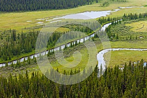 Marshland river riparian wetland landscape