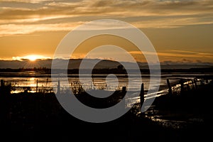Marshland at sunset photo