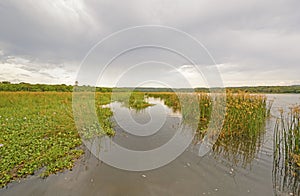 Marshland on a Wild River