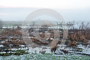 Marshlands on foggy morning