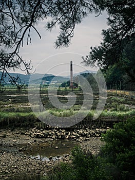 Marshlands and swamps in the Urdaibai Biosphere Reserve in the Basque Country