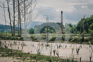 Marshlands and swamps in the Urdaibai Biosphere Reserve in the Basque Country