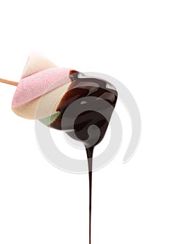 Marshmallow in chocolate syrop. Isolated.