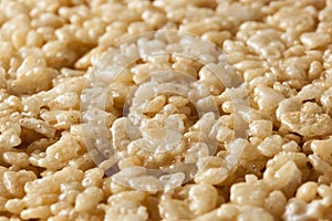 Marshmallow Crispy Rice Treat