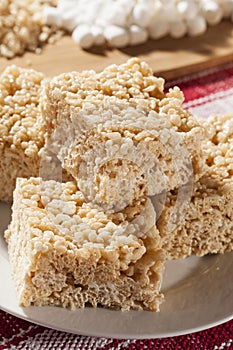 Marshmallow Crispy Rice Treat