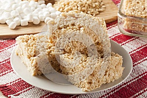 Marshmallow Crispy Rice Treat