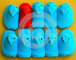 Marshmallow Easter candy chicks in row