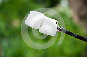 Marshmallow fried on a fire. On a stick. In the summer on vacation.