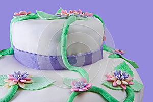 Marshmallow Multilayer Cake Closeup photo