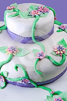 Marshmallow Multilayer Cake photo