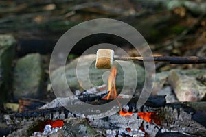 Marshmallow roasting on campfine