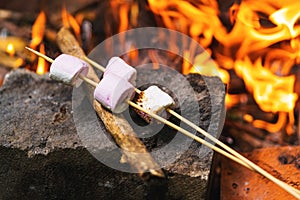 Marshmallow on skewers is fried at the stake