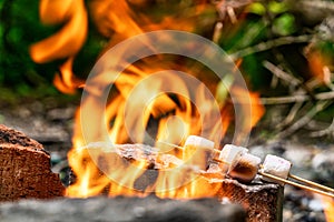 Marshmallow on skewers is fried at the stake