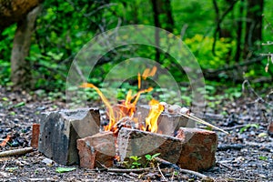 Marshmallow on skewers is fried at the stake