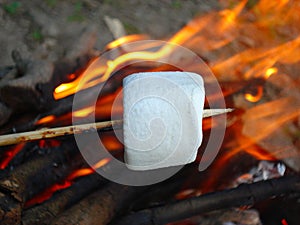 Marshmallow on a stick