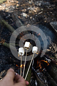 Marshmallow on a stick at the stake. Fried marshmallows. Picnic in the nature. Marshmallows on a background of fire.