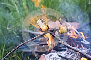 Marshmallow. Toasted marshmallows on a stick. Summer.