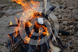 Marshmallow on a twig roasted on a fire