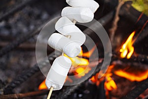 Marshmallows are fried over a fire. Toasted marshmallows on an open fire on a wooden stick