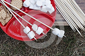 Marshmallows picnic photo