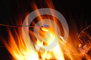Marshmellow in fire