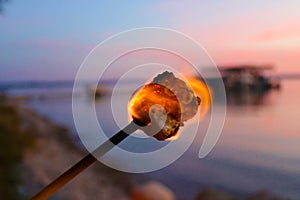 Marshmallow on fire during summer front lake