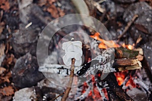 Marshmellow over fire