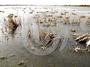 Marshside RSPB Reserve photo