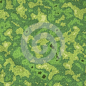 Marshy green camouflage texture background