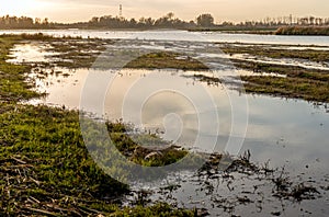 Marshy part of the Dutch National Park De Biesbosch during sunset