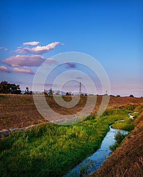 Marshy river on a summer evening