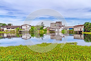 Marshy village scenery in Bang Muang