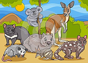 Marsupials animals cartoon illustration