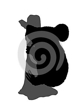 Marsupials bear koala vector silhouette illustration isolated on white background.