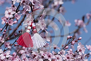 Martenitsa on blossoming tree - symbol of beginning of spring. Bulgaria 1st of March holiday Seasonal natural background