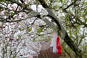 Martenitsa on an cherry tree