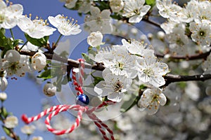 Martenitsa Tied to a blooming tree. Martisor. Baba Marta holiday.