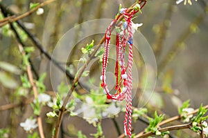 `Martenitsa` - traditional bulgarian bracelet tied on the blossom tree